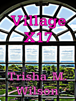 cover image of Village X17